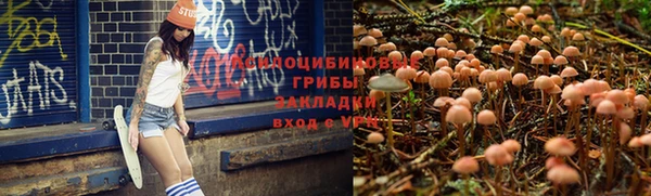 метадон Богданович