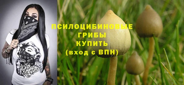 СК Лихославль