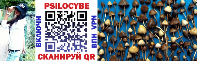 ссылка на мегу ONION  даркнет сайт  Новая Усмань  Галлюциногенные грибы Cubensis 